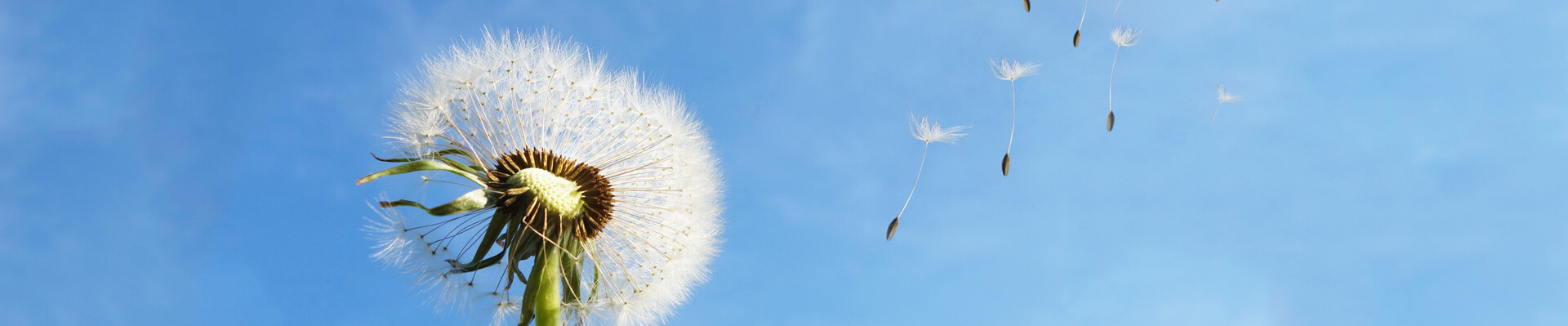 林州tyc1286太阳成集团,太阳成集团,tyc太阳成,,集团股份有限公司