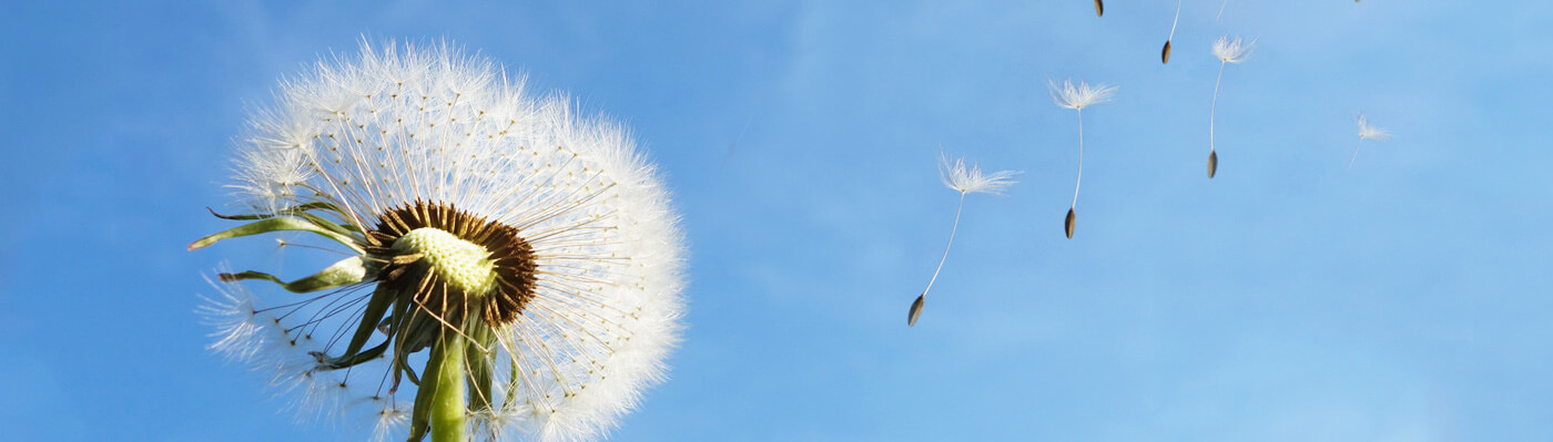 林州tyc1286太阳成集团,太阳成集团,tyc太阳成,,集团股份有限公司